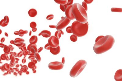 Red blood cells. Low level of IgG antibodies for Tannerella forsyhtiha predicts cardiovascular disease mortality 