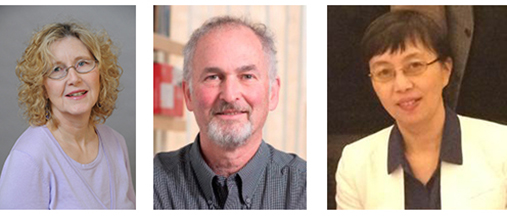 Profilbilder av de tre professorene, f.v. Dartt, Paster og Chen.