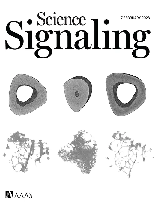 Omslaget til tidsskriftet Science Signaling