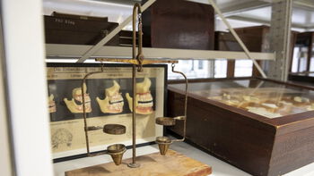 utstillingsskap ,glass ,museum ,åpenhet ,naturmateriale.